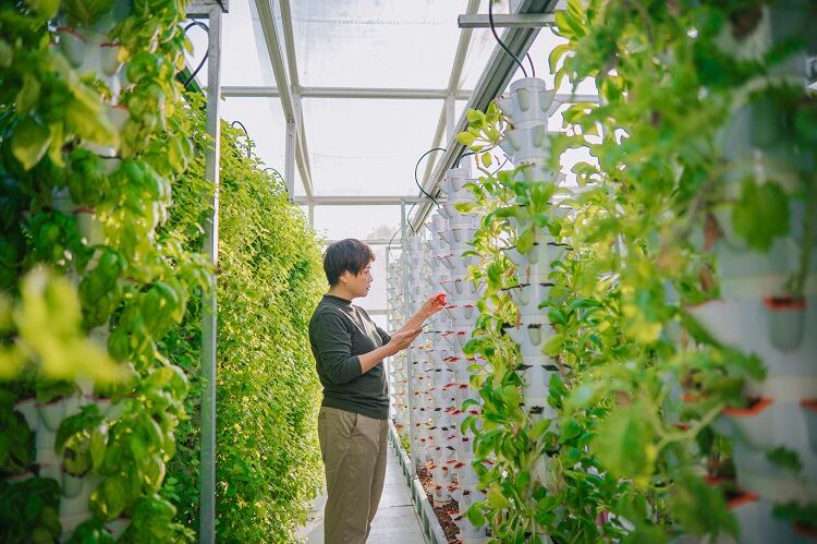 vertical-farming-Edwin-Tan.jpg