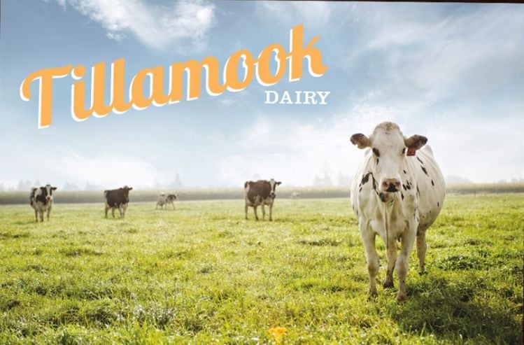 Tillamook-Dairy.jpg