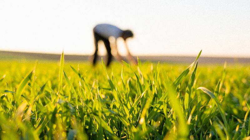 Strategies to decarbonize the supply chain