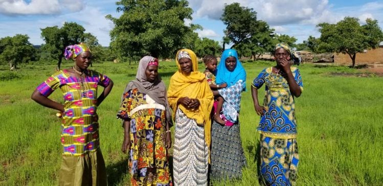 Fonio-growing-in-Mali-farafena.jpg