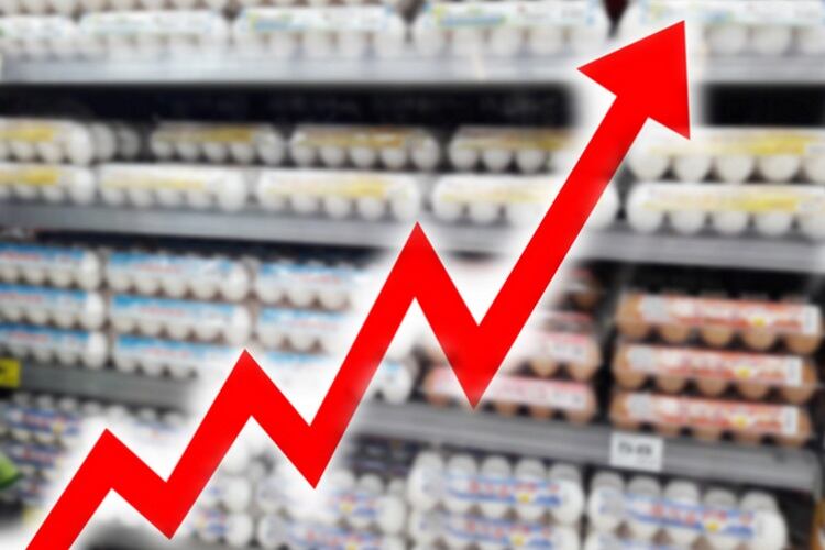 Egg prices expected to crack record highs throughout 2023
