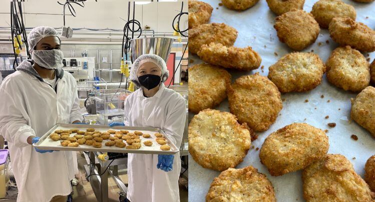Plant-based meat gamechanger? Rebellyous Foods tackles two key hurdles facing the industry: cost, and quality-at-scale