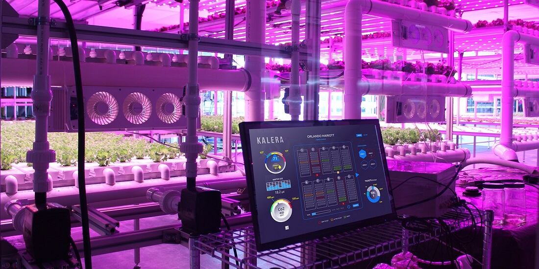Kalera ramps up indoor vertical farming footprint and scale in 2022: 'The company is well positioned to fully exploit its US footprint,' says interim CEO
