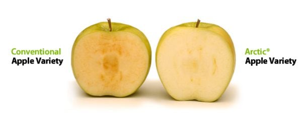 arctic-apples.jpg