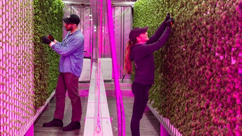 SquareRoots_shippingcontainer.jpg