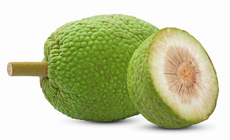 Breadfruit-Gettyimages-Photographer.jpg
