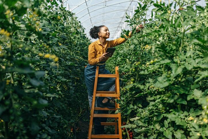 OTA’s Farm Bill wish list focuses on creating responsive organic standards, reinforcing organic supply chains and enhancing conservation