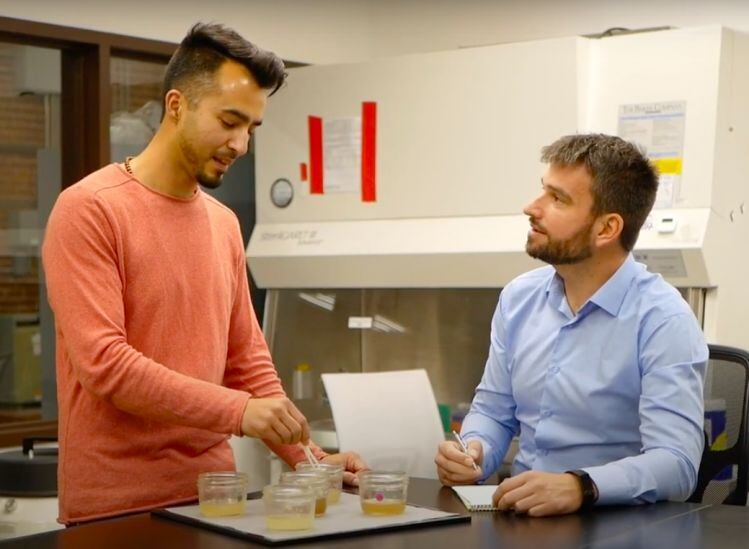 Real honey… without bees? Berkeley-based startup MeliBio gears up for launch in late 2021 