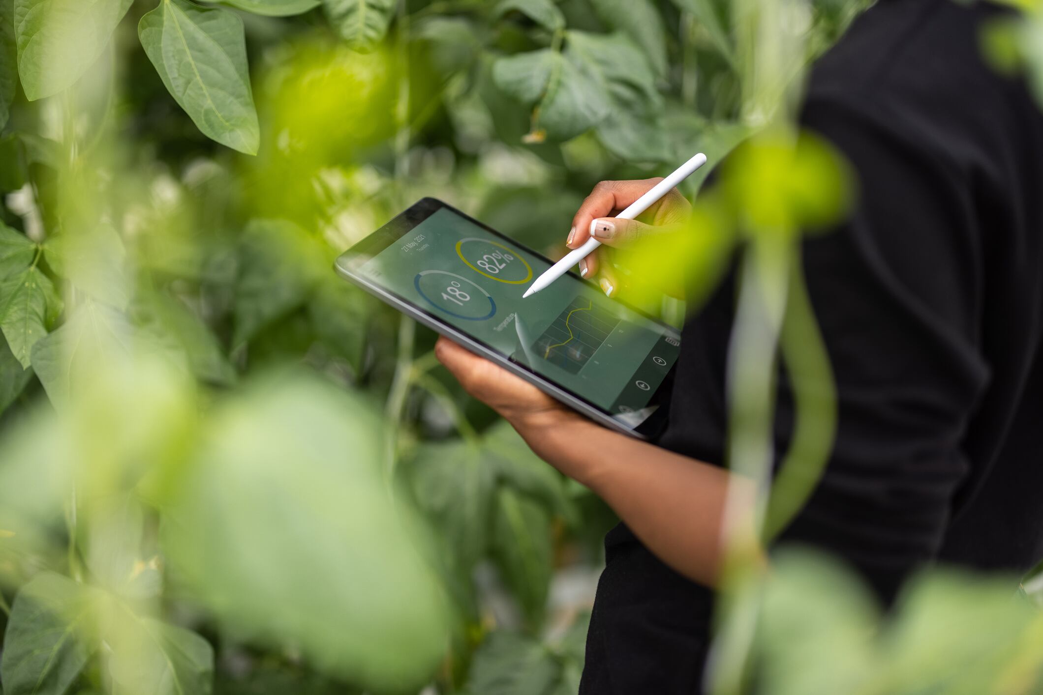 Nestlé’s research institute addresses agricultural sustainability, aligning with its climate mitigation plans of reaching net-zero by 2050  