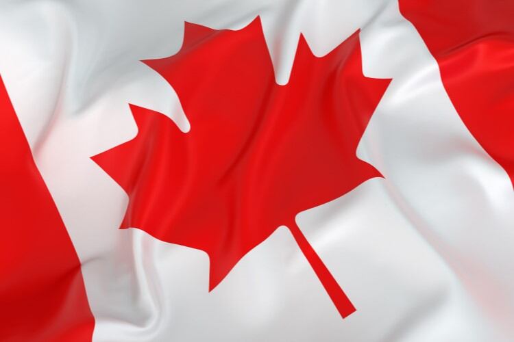 Canada launches $333m fund to compensate dairies for lost market share