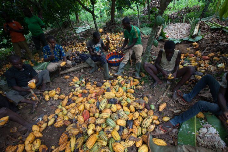 Fairtrade America: 'We need to get more brands on board to drive impact'