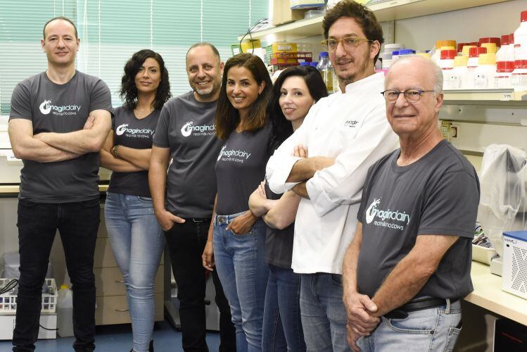 Animal-free-dairy-category-heats-up-with-mainstream-dairy-companies-exploring-partnerships-says-Imagindairy.jpg