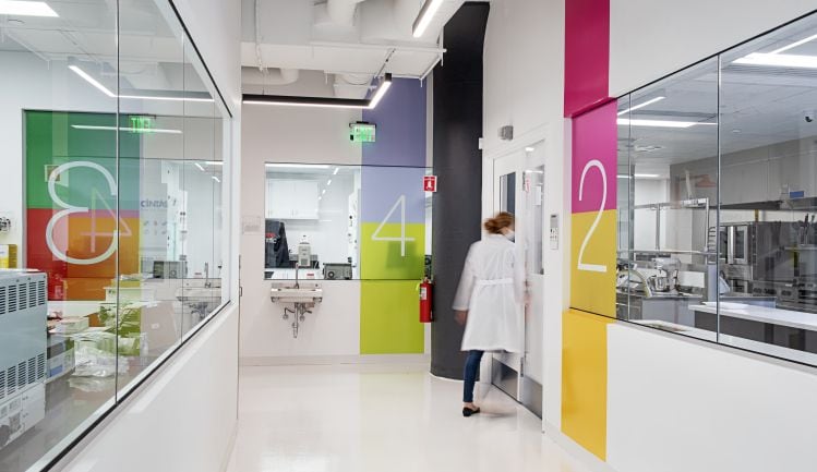 Motif FoodWorks: Transforming the eating experience of plant-based meat and dairy with 'high-impact' ingredients
