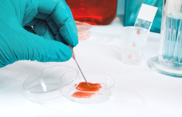 Labelling ‘top priority’ for lab-grown meats, says USCA