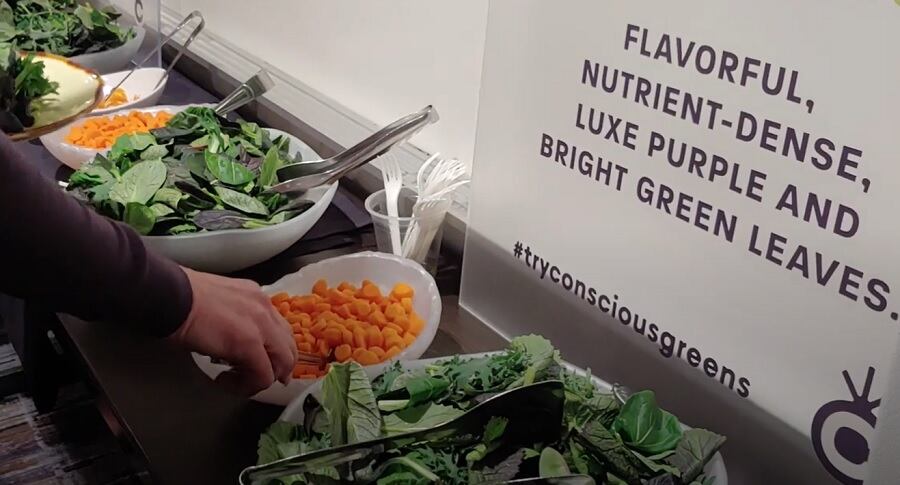 Exclusive: Pairwise stops marketing gene-edited Conscious Greens to focus on new high-value, gene-edited crops