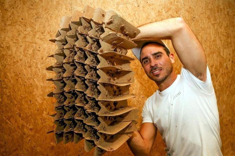 Hector-Jimenez-Nutrinsectos1.jpg