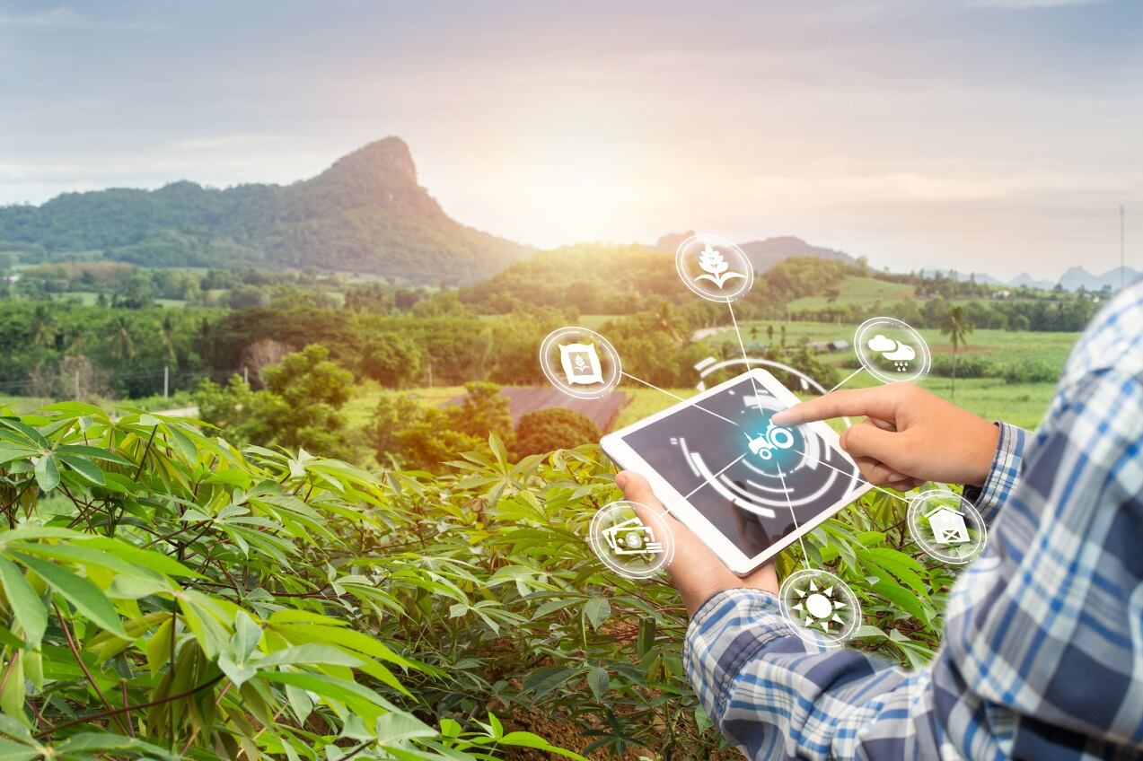 GettyImages-gan-chaonan-farmer-mobile-tech-traceability.jpg