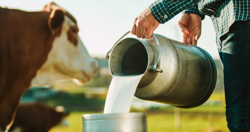 What is behind the uptick in milk consumption and dairy sales more broadly?