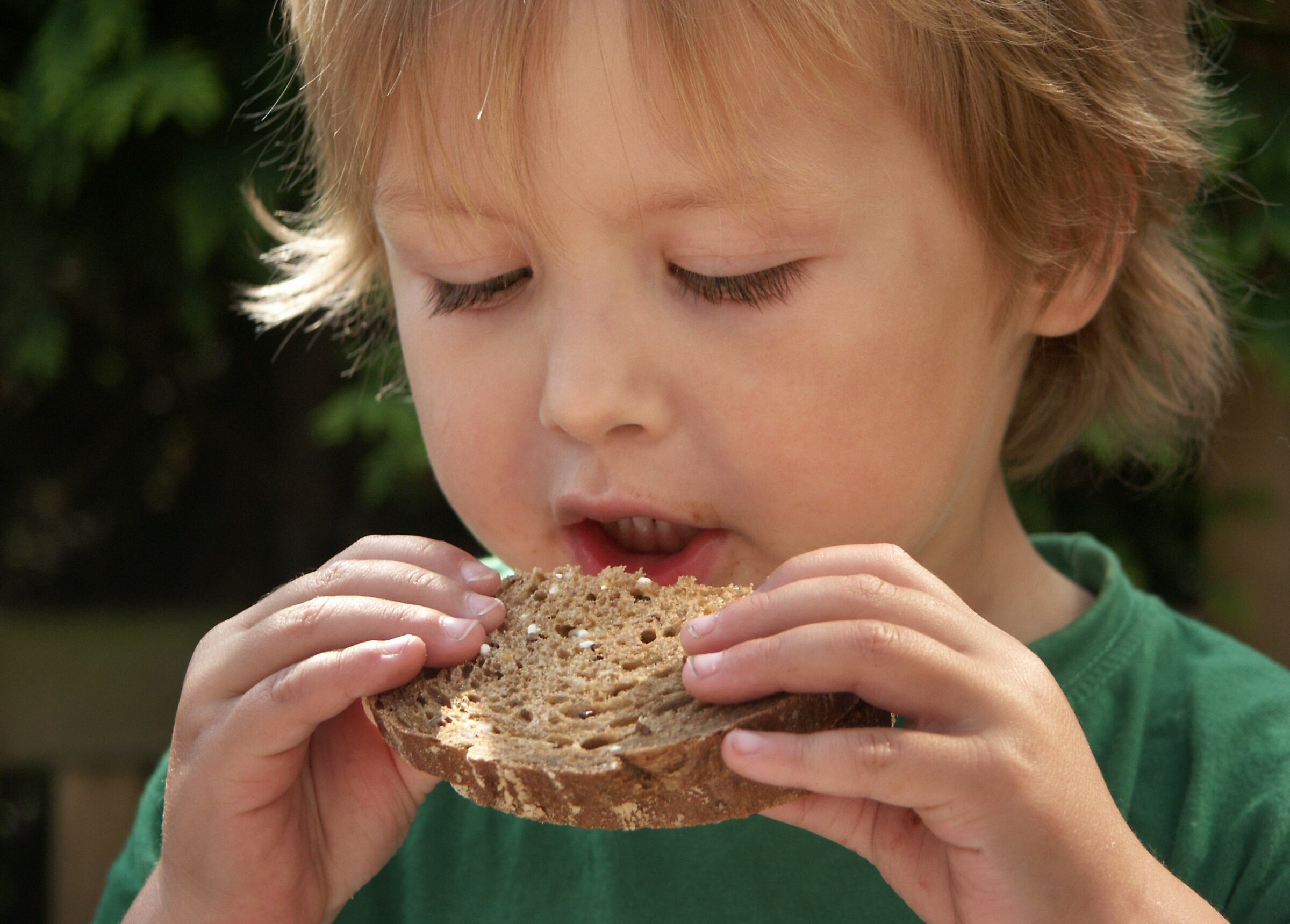 Little boy eating wholewheat bread