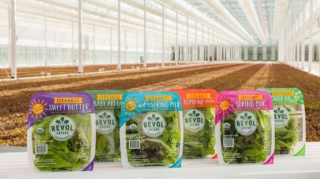 Revol-Greens-Organic-Salad-Blends.jpg