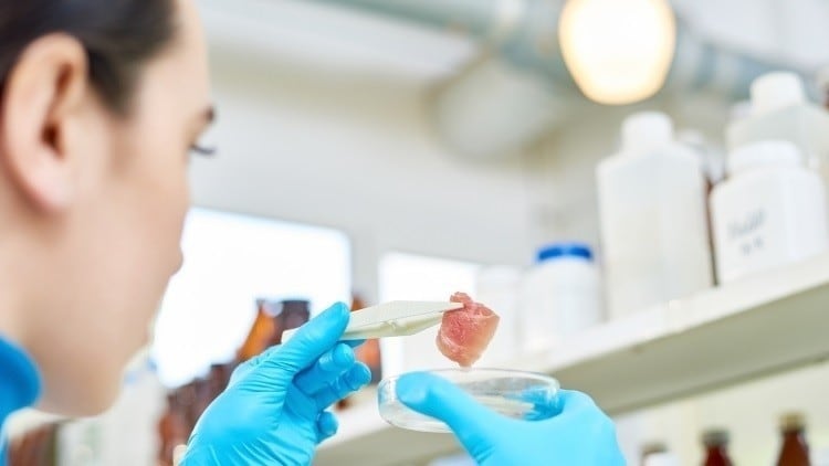 Affordable-lab-grown-meat-India-looks-to-become-global-cell-based-meat-hub.jpg