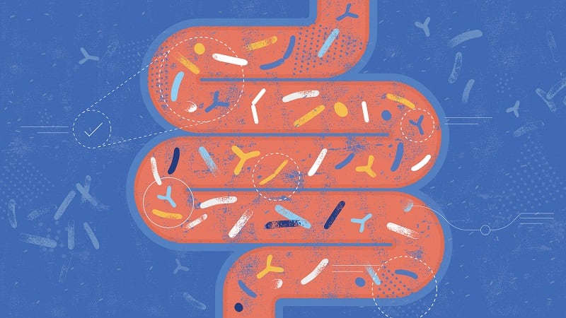 The-Ozempic-era-is-here-to-stay-Supergut-positions-gut-health-brand-as-GLP-1-compliment.jpg