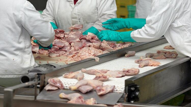 US meat worker injuries reach all-time low