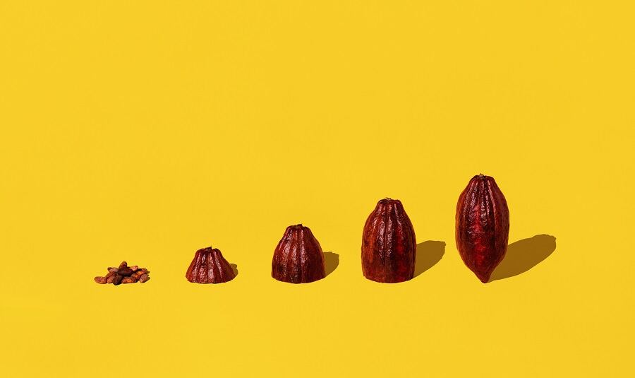 Consumer Reports releases updated report on high levels of heavy metals in chocolate, NCA reaffirms chocolate is “safe to eat”