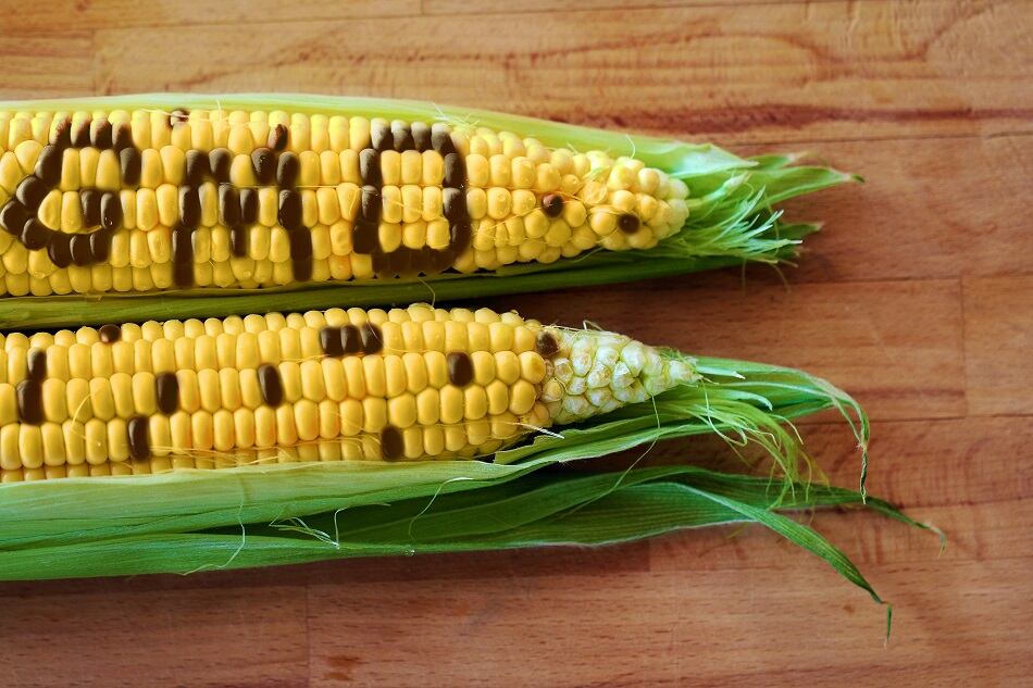 GMOs-101-FDA-launches-GMO-consumer-education-initiative.jpg