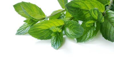 peppermint.jpg
