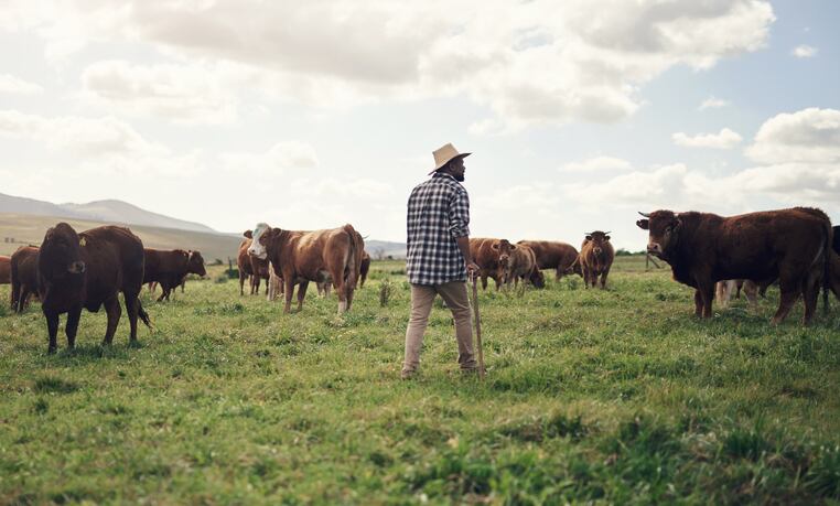 Animal-welfare-organic-claims-are-increasing-in-the-meat-dairy-cases-bringing-higher-sales.jpg