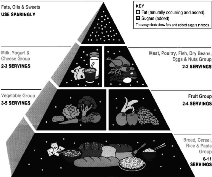 The 1992 Food Guide Pyramid