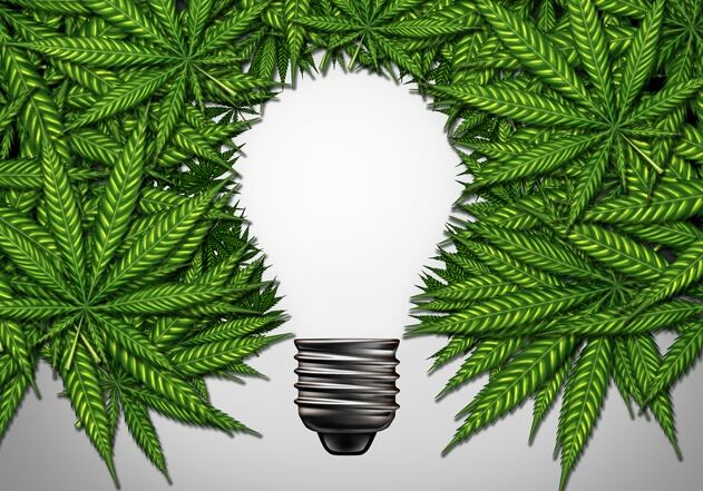 Launching a cannabis beverage brand: The Drinkable Company shares its top tips