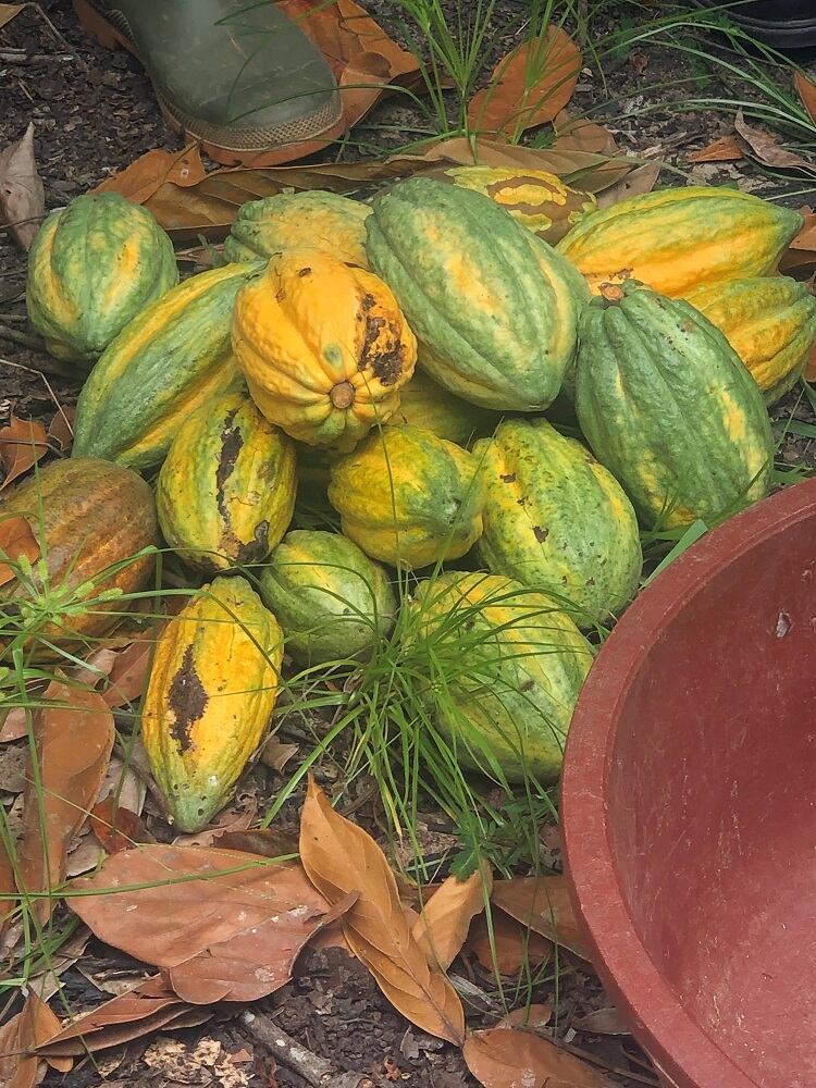 Exploited-farmers.jpg
