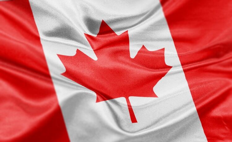 Canadian pork industry appeals for government support