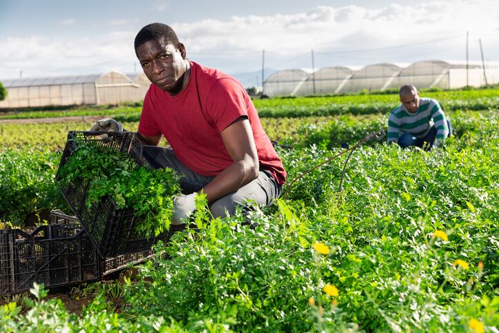 USDA Sec. Vilsack: ‘Creating more equitable opportunities for Black farmers is a rising tide that can lift all boats’