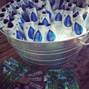 Vertical-water-in-bucket.jpg