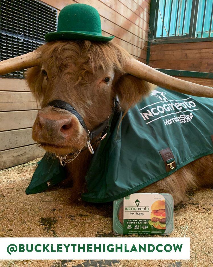 incogmeato-cow.jpg