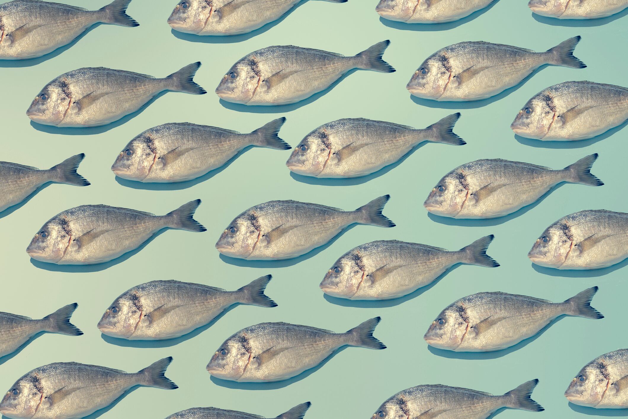 Pregnancy is a critical window for maternal and fetal health, and emerging research highlights the role of DHA, a long-chain omega-3 fatty acid, in both preterm birth prevention and maternal wellness.