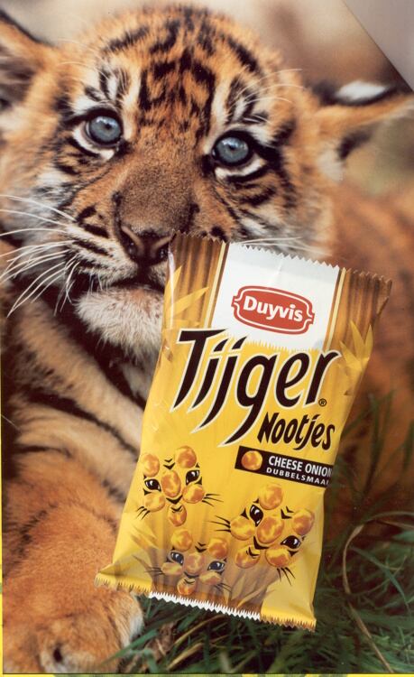 Duyvis tijgenootjes