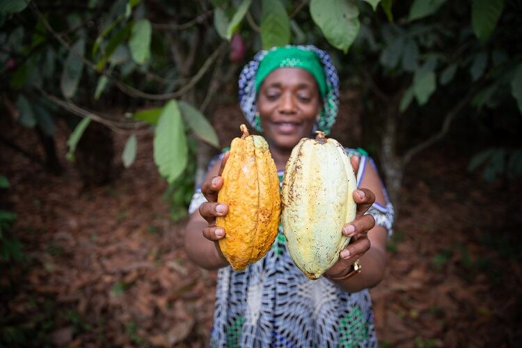 Why cocoa farmers don’t earn a living income