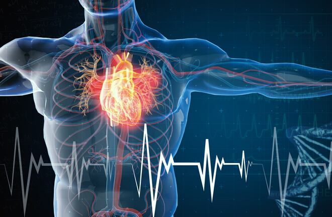 Second-look-at-big-omega-3s-trial-finds-no-cardio-benefits-even-for-subjects-with-most-EPA-in-blood.jpg