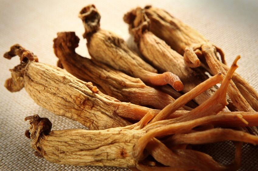 ginseng.jpg