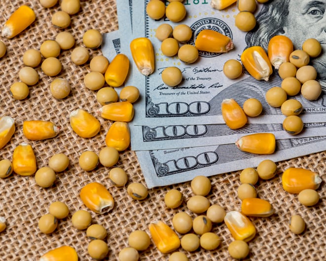 Surging-feed-prices-will-test-recovery-in-US-animal-protein-production.jpg