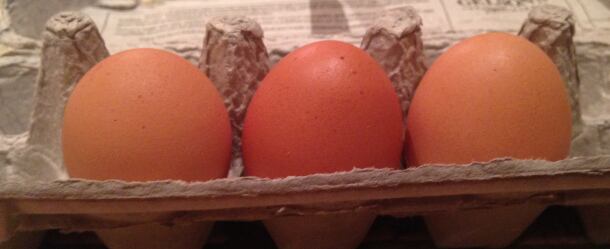 Eggs-by-Elaine.jpg