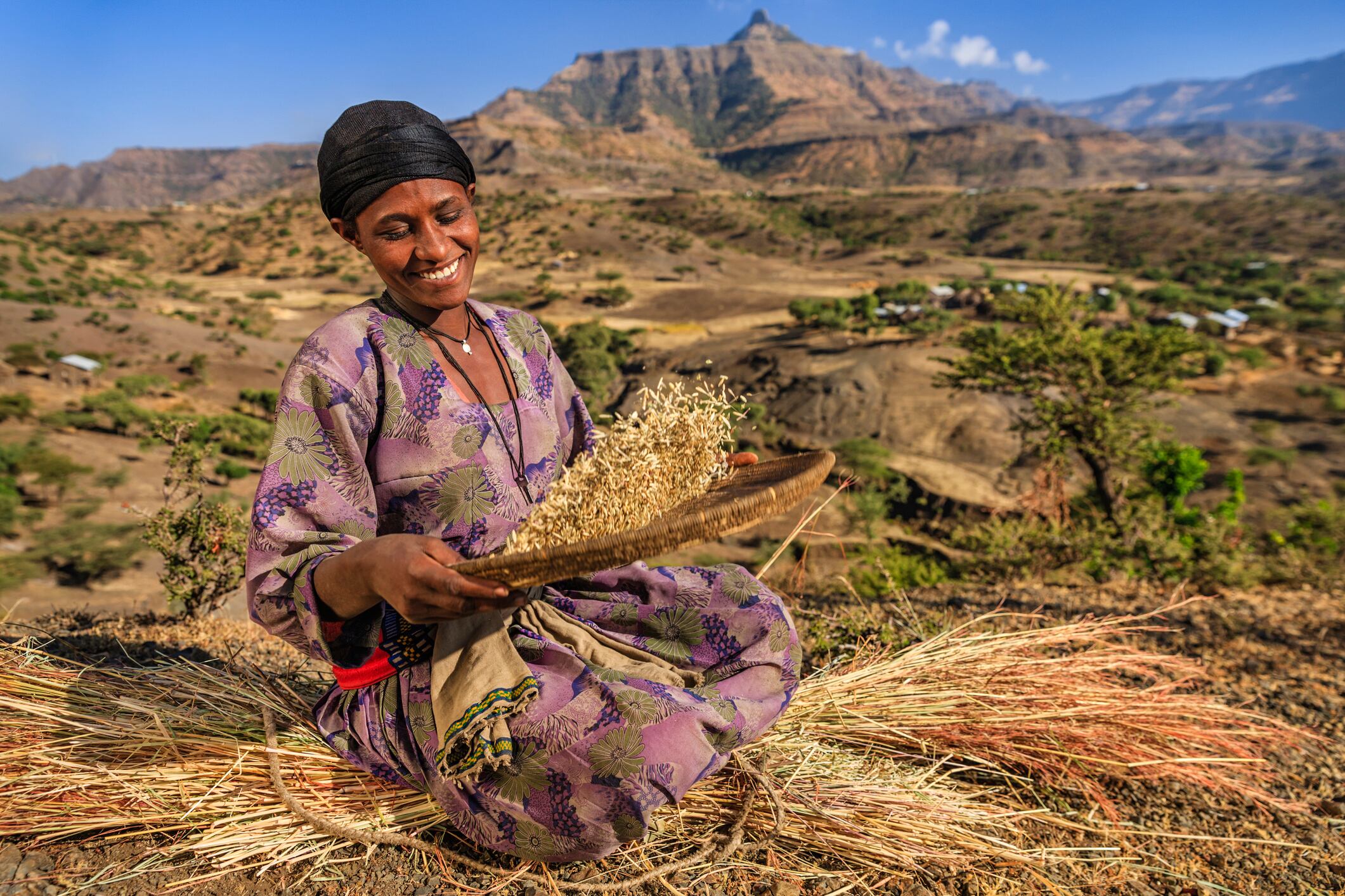Young African woman is sifting the sorghum in the village near to Lalibela town, northern Ethiopia, Africa. Sorghum is used for food, fodder, and the production of alcoholic beverages. Sorghum  is the fifth most important cereal crop grown in the world.