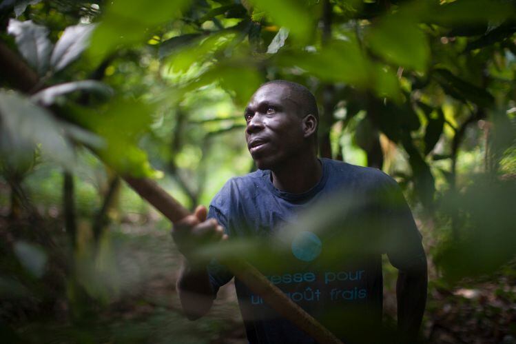 IvoryCoast_Hawkey_fairtrade.jpg