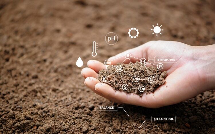 Healthy-soil-Khanchit-Khirisutchalual.jpg