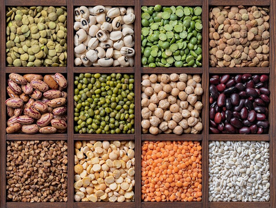 Ingredion to acquire 100% ownership of Verdient Foods advancing pulse-based protein production