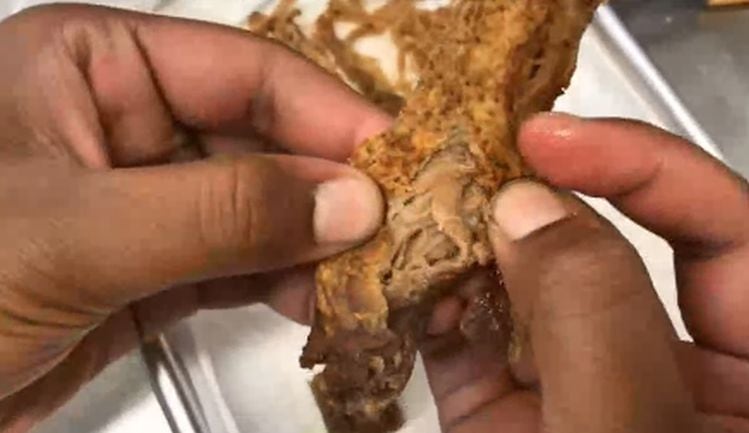 Boston Meats: Creating whole muscle textures in meat alternatives